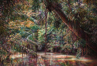 2024   Le grand décor de l'Amazonie par Etienne Druon